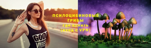 трава Беломорск