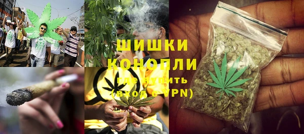 трава Беломорск