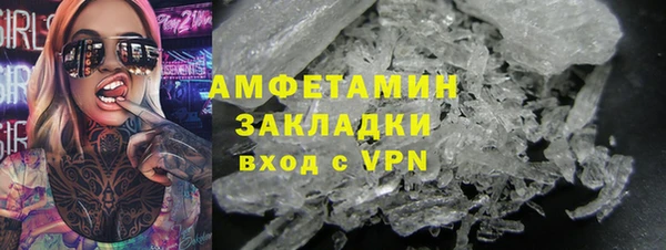 прущие грибы Богородицк
