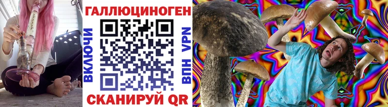 дарк нет состав дарнет шоп Буйнакск Псилоцибиновые грибы мухоморы